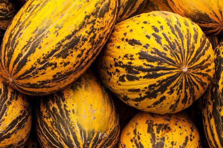 Kavun Nasıl Seçilir?