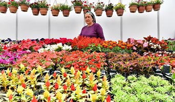 Bayındır Uluslararası Çiçek Festivali başladı