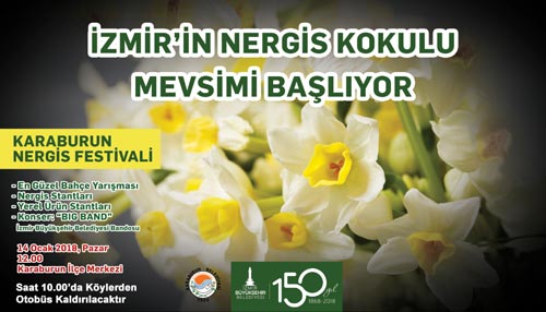 Karaburun Nergis Festivali