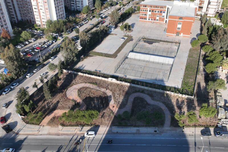 Betonun arasından orman çıktı