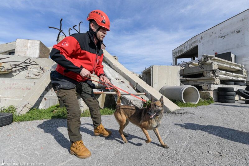 Afetlerde mahsur kalan hayvanlar unutulmayacak
