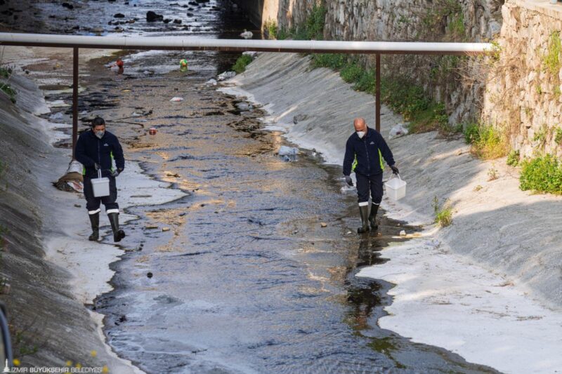 “Mevsimsel sinekler zararsız”