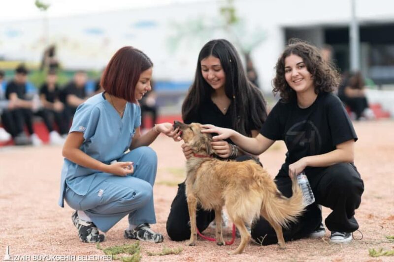 Barınaklardan 3 binin üzerinde hayvan sahiplendirildi