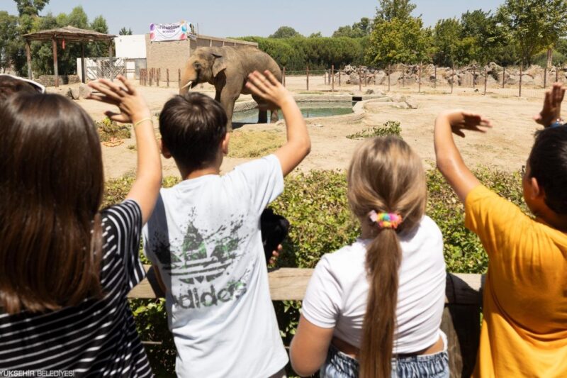 Doğal Yaşam Parkı öğrencilere ücretsiz olacak