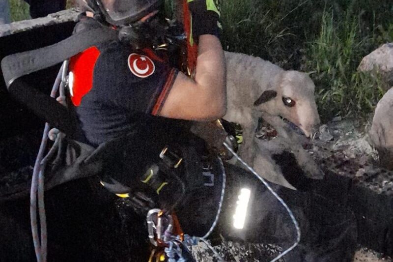 Kuyuya düşen kuzuya itfaiyeden nefes kesen kurtarma