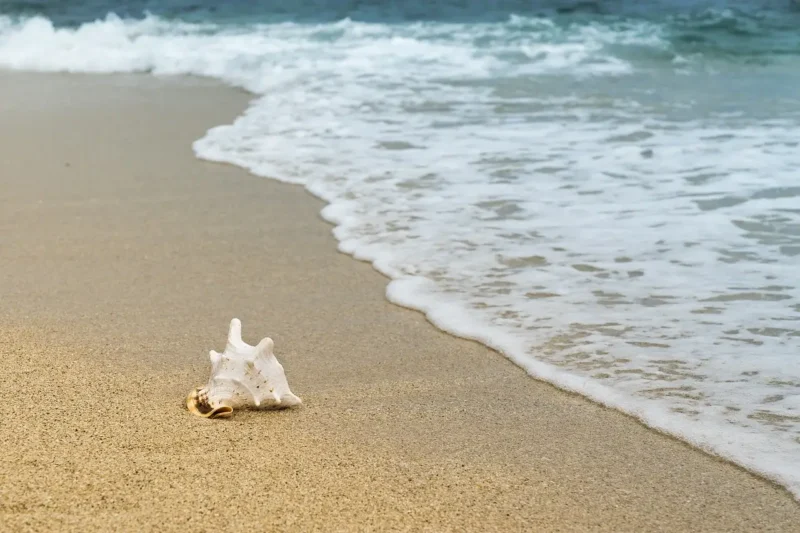Urla’da Deniz Mevsimi Ne Zaman?