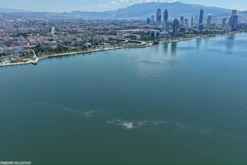 İzmir Körfezi’nde 14’üncü kez kirlilik tespit edildi