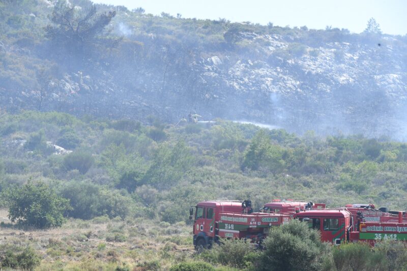 Urla Balıklıova’da orman yangını alarmı
