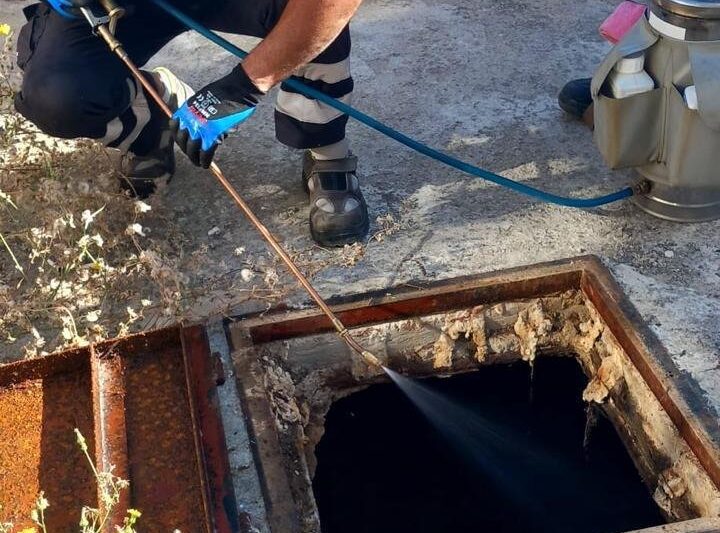 İzmir’de sivrisineğe karşı dev mücadele