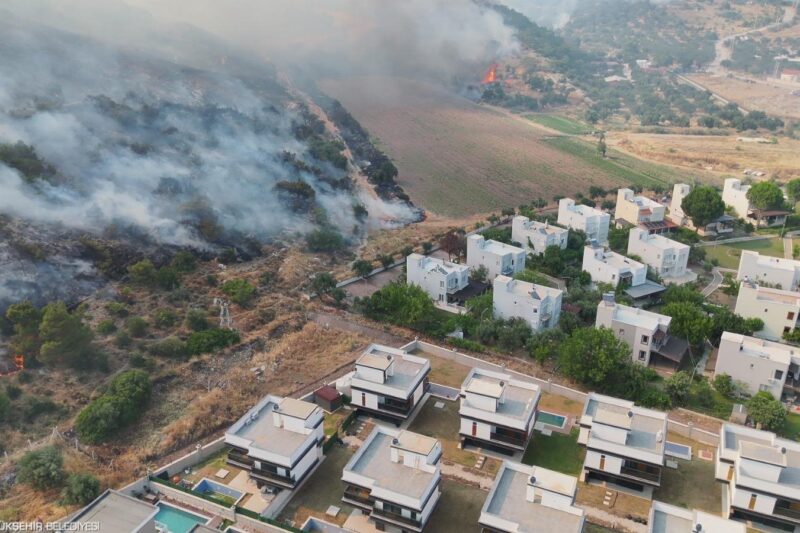 Dikili’de otluk ve zeytinlik alanda çıkan yangına müdahale sürüyor