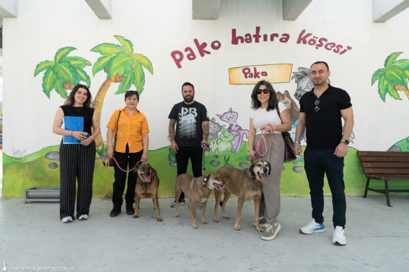 “Patili Dostlar İş Başında”