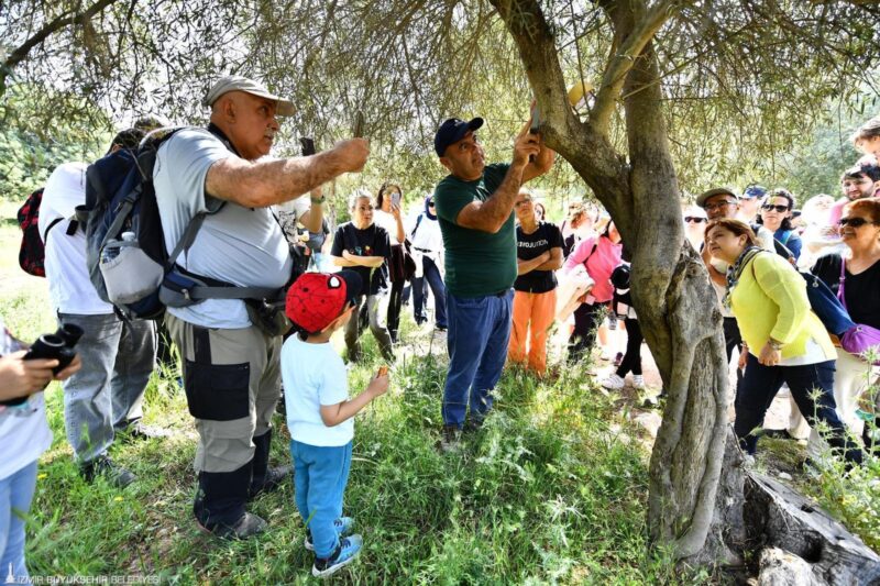 Yeşil alanlar 103 etkinlikle kentin buluşma noktası oldu