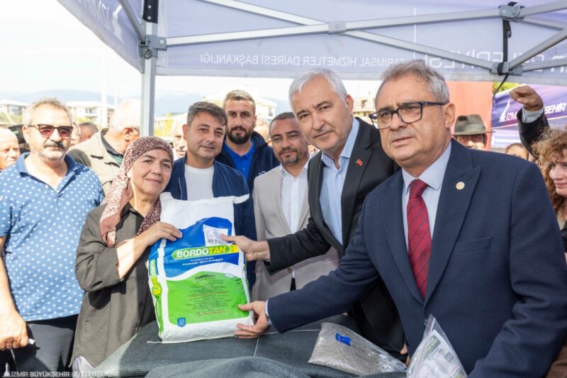 Zeytinde ortak akıl sahaya taşınıyor