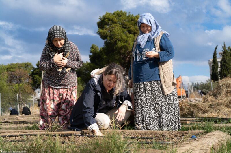 Mahalle Bostanlarında kışlık sebzeler toprakla buluşuyor